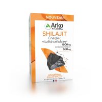 Arkogélules Shilajit 60 gélules
