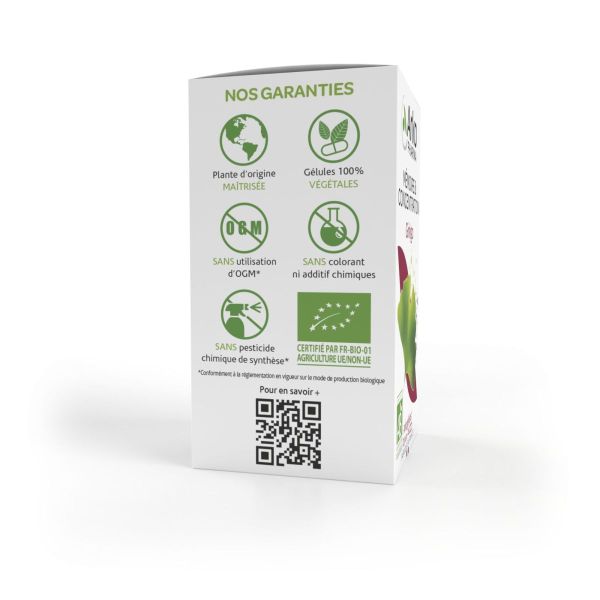 Mémoire Ginkgo Arkogélules - 45 gélules